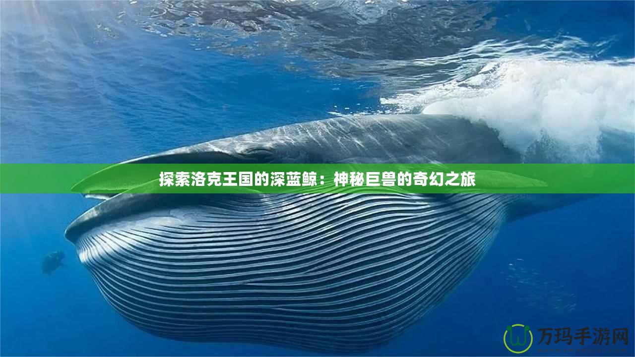 探索洛克王國的深藍鯨：神秘巨獸的奇幻之旅