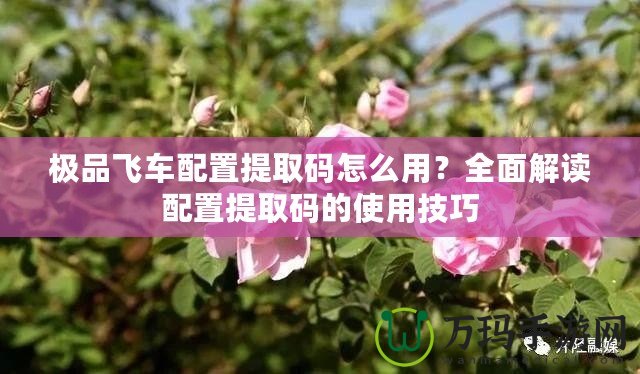 極品飛車配置提取碼怎么用？全面解讀配置提取碼的使用技巧