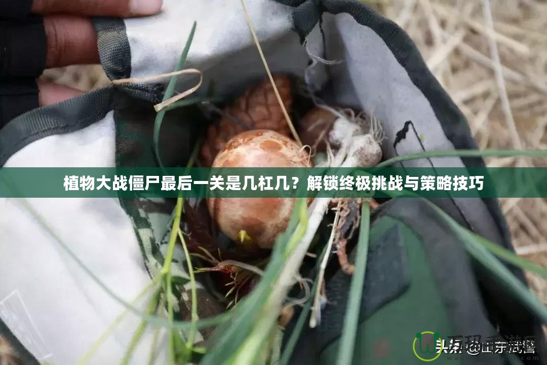 植物大戰(zhàn)僵尸最后一關是幾杠幾？解鎖終極挑戰(zhàn)與策略技巧