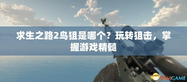 求生之路2鳥狙是哪個？玩轉(zhuǎn)狙擊，掌握游戲精髓