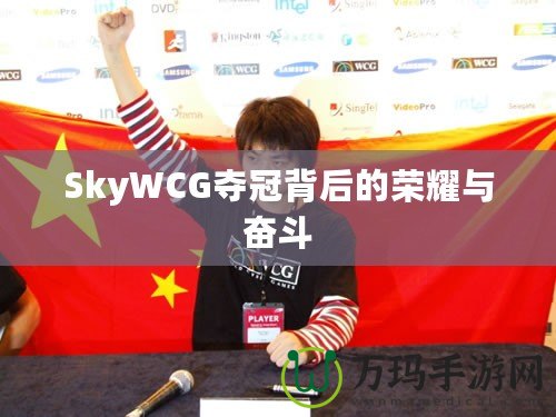 SkyWCG奪冠背后的榮耀與奮斗