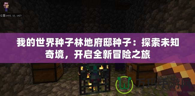 我的世界種子林地府邸種子：探索未知奇境，開啟全新冒險(xiǎn)之旅