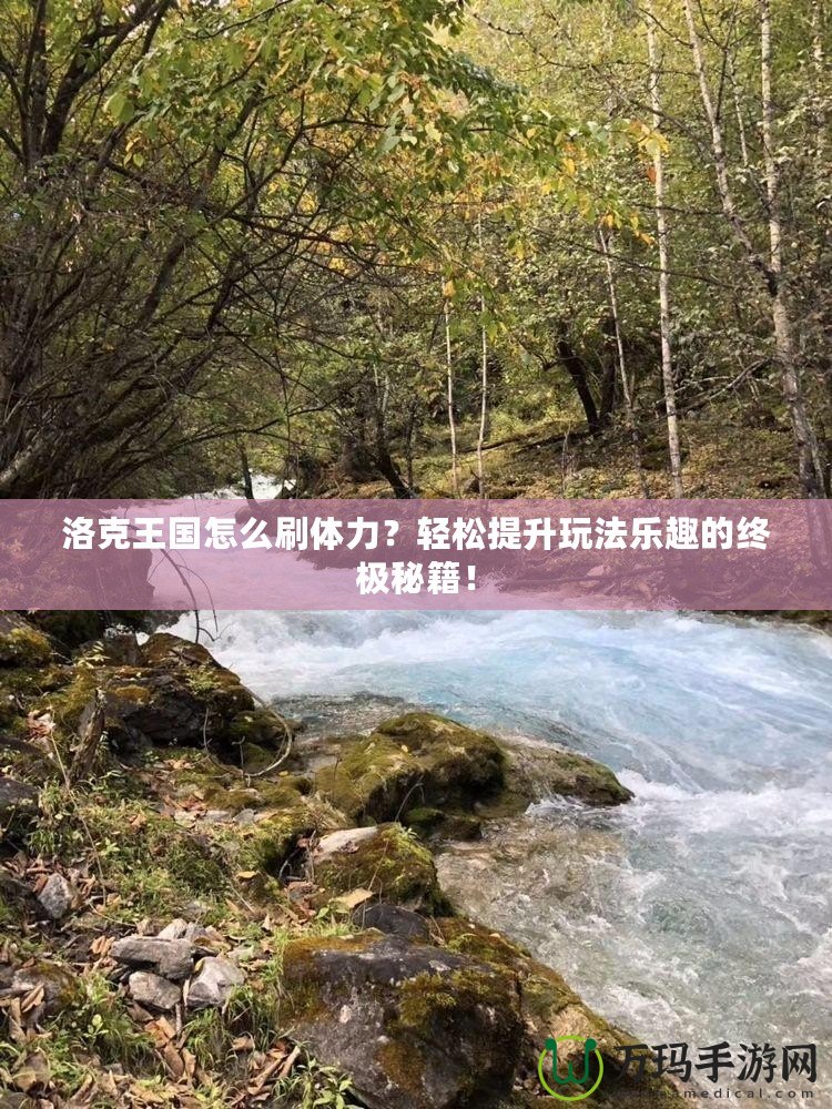 洛克王國(guó)怎么刷體力？輕松提升玩法樂(lè)趣的終極秘籍！