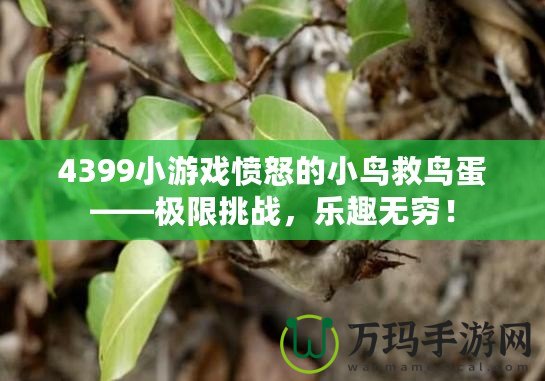 4399小游戲憤怒的小鳥救鳥蛋——極限挑戰(zhàn)，樂趣無窮！