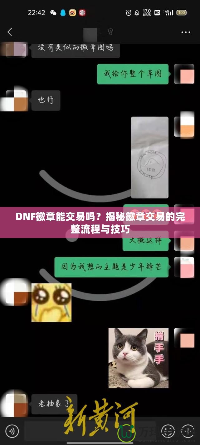 DNF徽章能交易嗎？揭秘徽章交易的完整流程與技巧