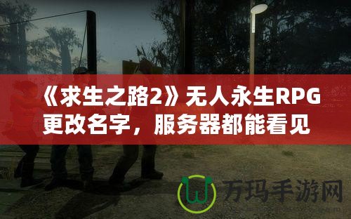 《求生之路2》無人永生RPG更改名字，服務(wù)器都能看見嗎？