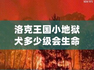 洛克王國小地獄犬多少級會生命火焰？揭秘最強(qiáng)寵物成長路線！