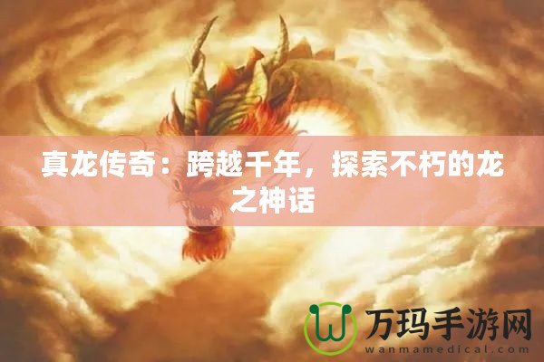 真龍傳奇：跨越千年，探索不朽的龍之神話