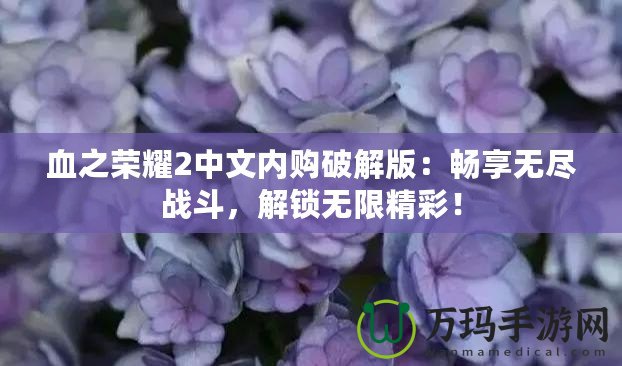 血之榮耀2中文內(nèi)購(gòu)破解版：暢享無(wú)盡戰(zhàn)斗，解鎖無(wú)限精彩！