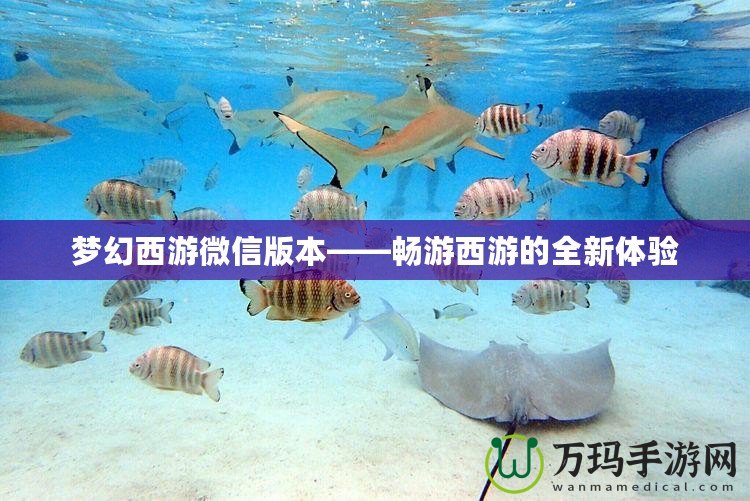 夢幻西游微信版本——暢游西游的全新體驗