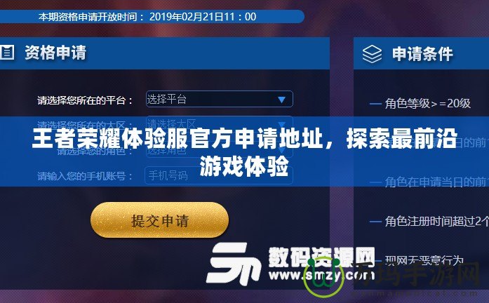 王者榮耀體驗(yàn)服官方申請地址，探索最前沿游戲體驗(yàn)
