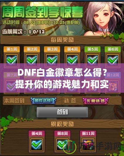 DNF白金徽章怎么得？提升你的游戲魅力和實(shí)力！