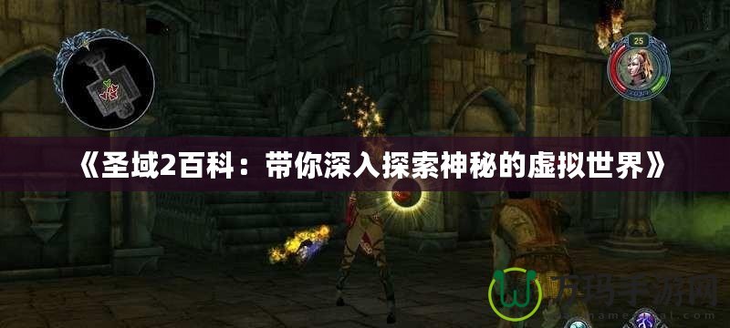 《圣域2百科：帶你深入探索神秘的虛擬世界》