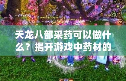 天龍八部采藥可以做什么？揭開游戲中藥材的神秘面紗！