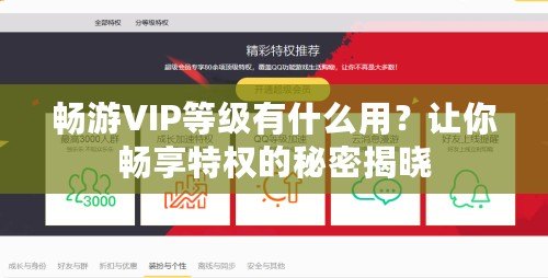 暢游VIP等級(jí)有什么用？讓你暢享特權(quán)的秘密揭曉