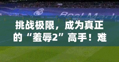 挑戰(zhàn)極限，成為真正的“羞辱2”高手！難度選擇解析與游戲技巧指南