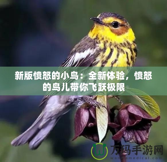 新版憤怒的小鳥：全新體驗，憤怒的鳥兒帶你飛躍極限