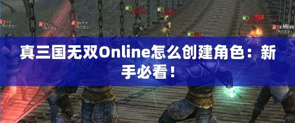 真三國無雙Online怎么創(chuàng)建角色：新手必看！