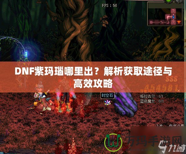 DNF紫瑪瑙哪里出？解析獲取途徑與高效攻略