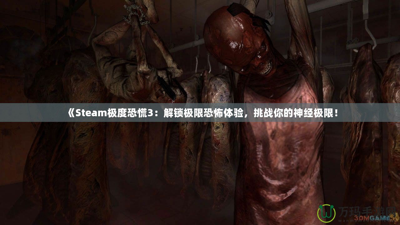 《Steam極度恐慌3：解鎖極限恐怖體驗，挑戰(zhàn)你的神經(jīng)極限！