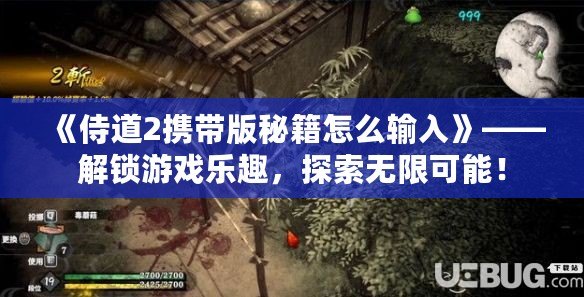 《侍道2攜帶版秘籍怎么輸入》——解鎖游戲樂(lè)趣，探索無(wú)限可能！