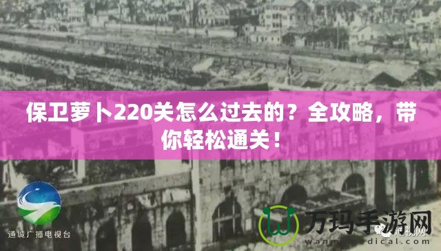 保衛(wèi)蘿卜220關(guān)怎么過去的？全攻略，帶你輕松通關(guān)！