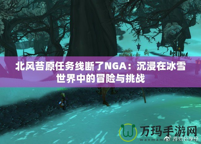 北風(fēng)苔原任務(wù)線斷了NGA：沉浸在冰雪世界中的冒險(xiǎn)與挑戰(zhàn)