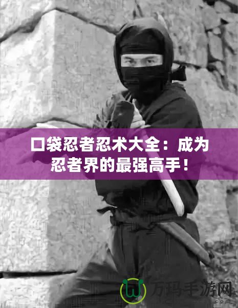 口袋忍者忍術(shù)大全：成為忍者界的最強(qiáng)高手！