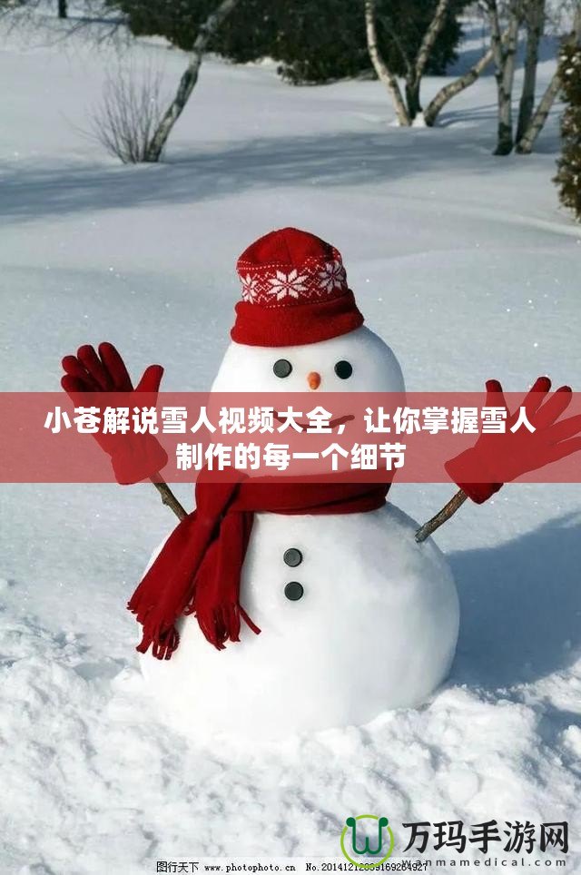 小蒼解說雪人視頻大全，讓你掌握雪人制作的每一個細(xì)節(jié)