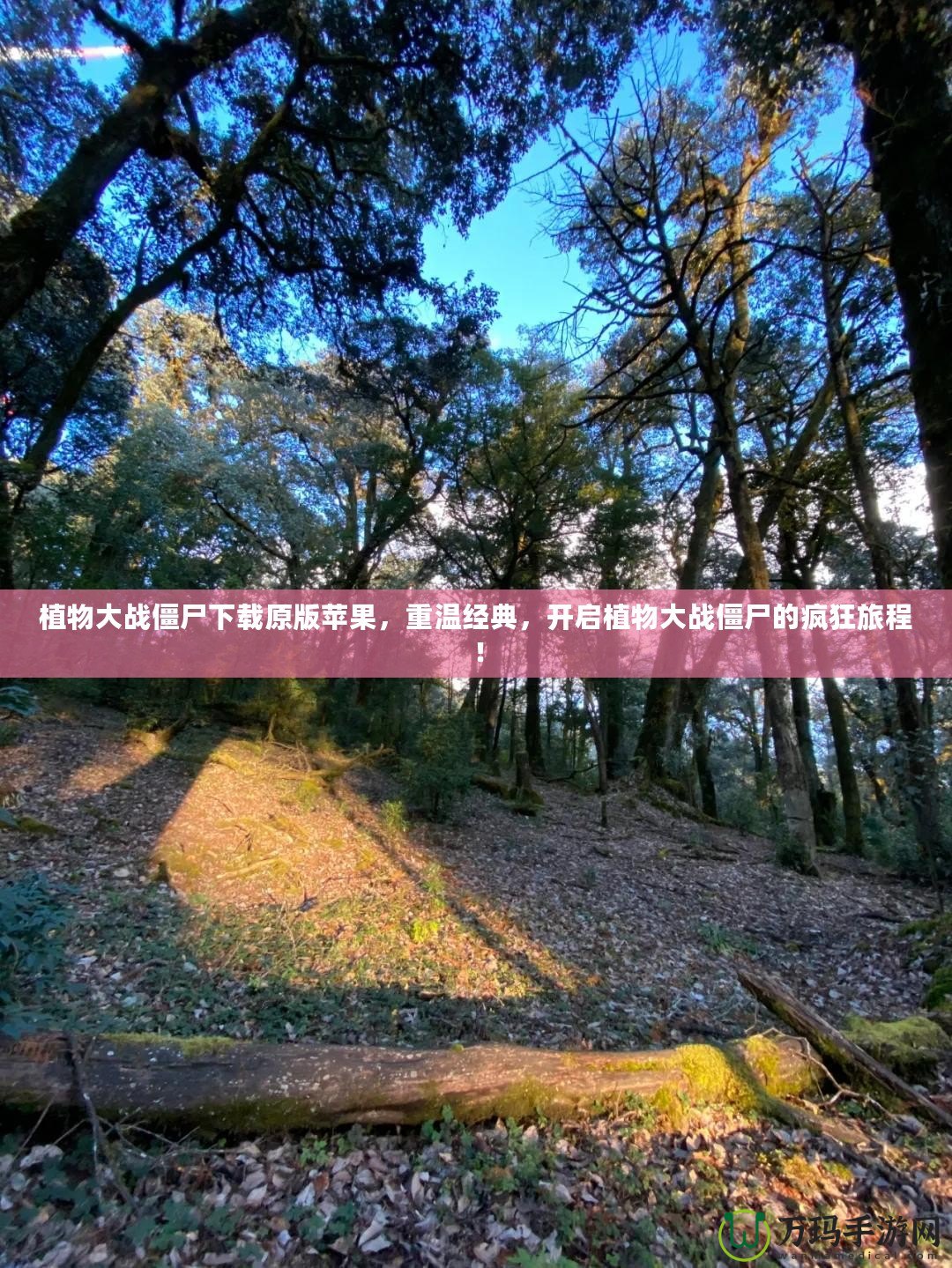 植物大戰(zhàn)僵尸下載原版蘋果，重溫經(jīng)典，開啟植物大戰(zhàn)僵尸的瘋狂旅程！