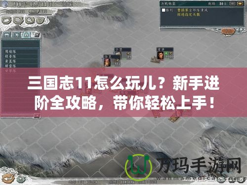 三國(guó)志11怎么玩兒？新手進(jìn)階全攻略，帶你輕松上手！