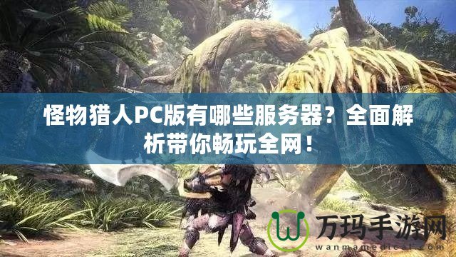 怪物獵人PC版有哪些服務(wù)器？全面解析帶你暢玩全網(wǎng)！