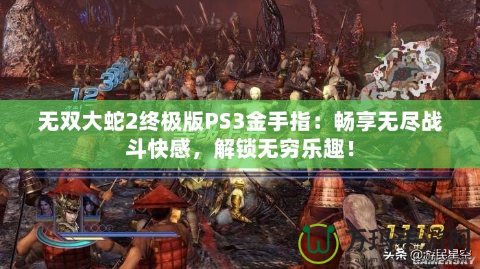 無雙大蛇2終極版PS3金手指：暢享無盡戰(zhàn)斗快感，解鎖無窮樂趣！