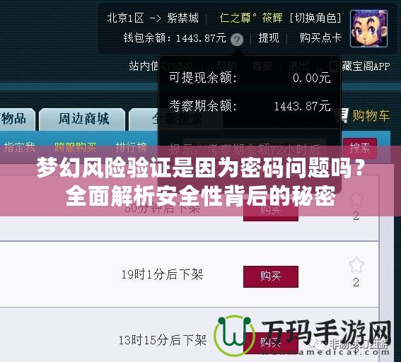夢幻風(fēng)險驗證是因為密碼問題嗎？全面解析安全性背后的秘密