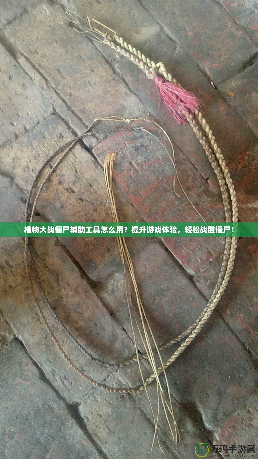 植物大戰(zhàn)僵尸輔助工具怎么用？提升游戲體驗(yàn)，輕松戰(zhàn)勝僵尸！