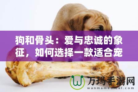 狗和骨頭：愛與忠誠(chéng)的象征，如何選擇一款適合寵物的骨頭？