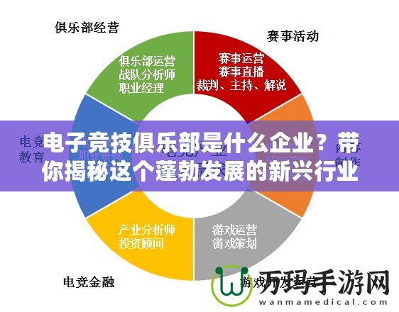 電子競技俱樂部是什么企業(yè)？帶你揭秘這個蓬勃發(fā)展的新興行業(yè)！