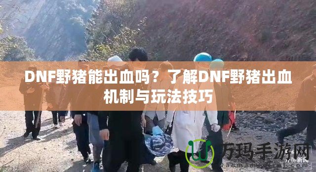 DNF野豬能出血嗎？了解DNF野豬出血機制與玩法技巧