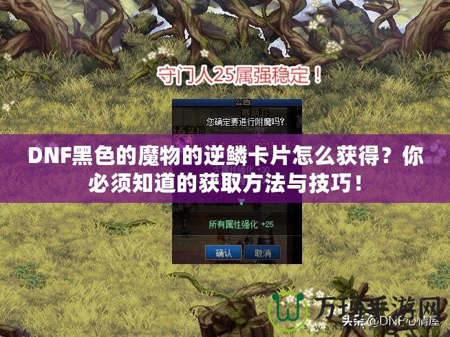 DNF黑色的魔物的逆鱗卡片怎么獲得？你必須知道的獲取方法與技巧！