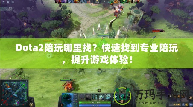 Dota2陪玩哪里找？快速找到專業(yè)陪玩，提升游戲體驗(yàn)！