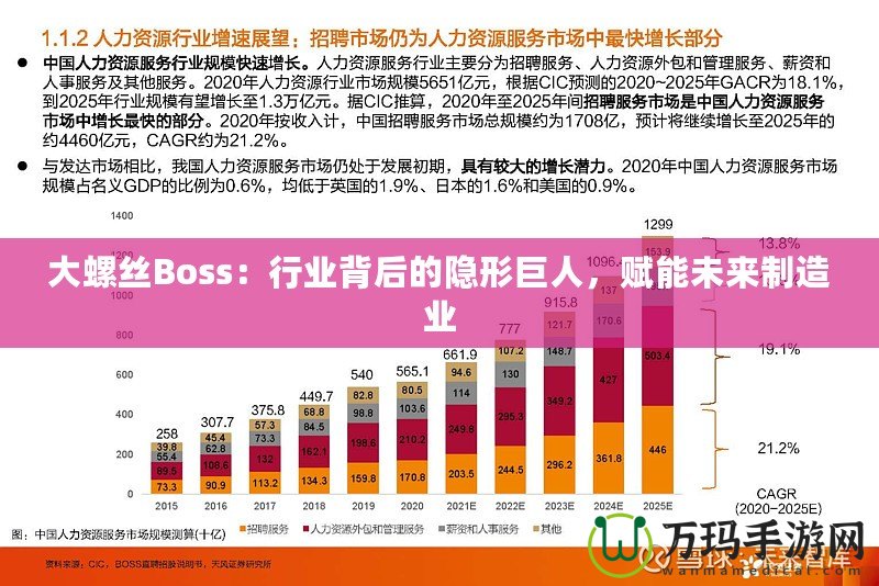 大螺絲Boss：行業(yè)背后的隱形巨人，賦能未來(lái)制造業(yè)