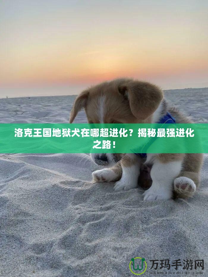 洛克王國地獄犬在哪超進化？揭秘最強進化之路！