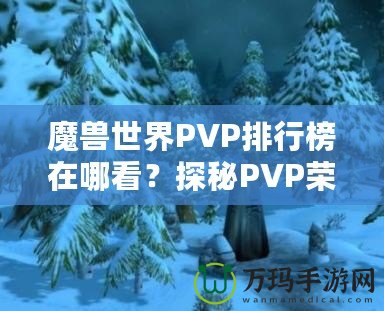 魔獸世界PVP排行榜在哪看？探秘PVP榮耀的捷徑！