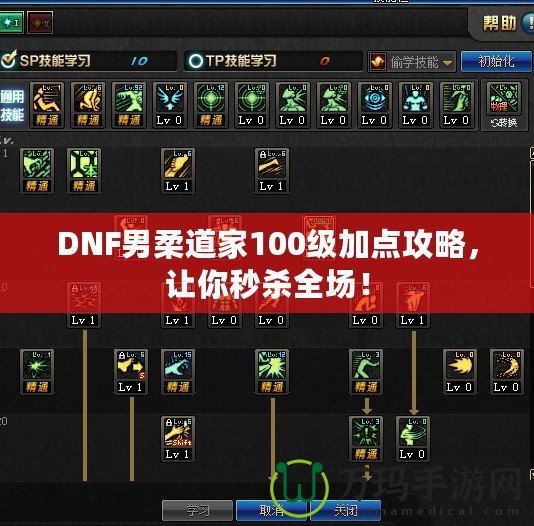 DNF男柔道家100級加點攻略，讓你秒殺全場！