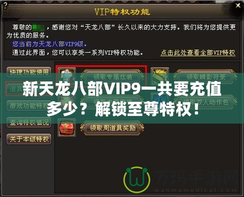 新天龍八部VIP9一共要充值多少？解鎖至尊特權(quán)！