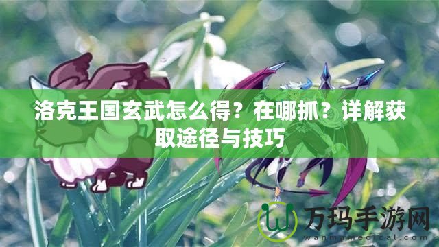 洛克王國玄武怎么得？在哪抓？詳解獲取途徑與技巧