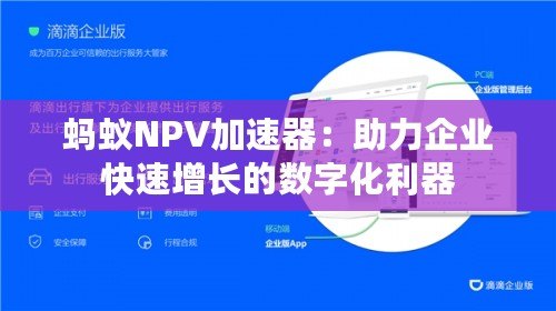 螞蟻NPV加速器：助力企業(yè)快速增長的數(shù)字化利器