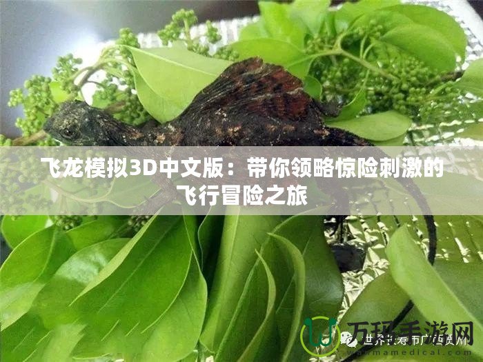 飛龍模擬3D中文版：帶你領(lǐng)略驚險(xiǎn)刺激的飛行冒險(xiǎn)之旅