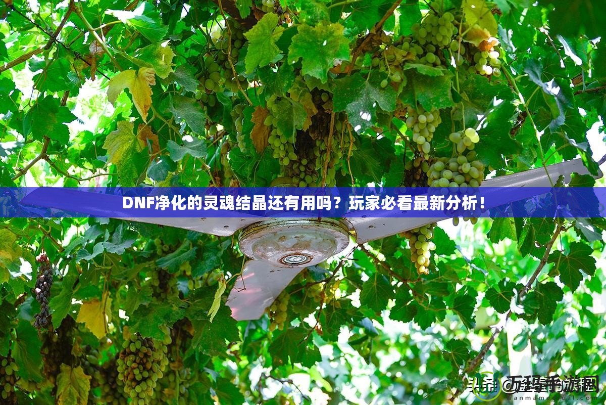 DNF凈化的靈魂結(jié)晶還有用嗎？玩家必看最新分析！