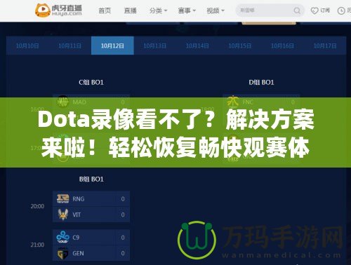 Dota錄像看不了？解決方案來(lái)啦！輕松恢復(fù)暢快觀賽體驗(yàn)